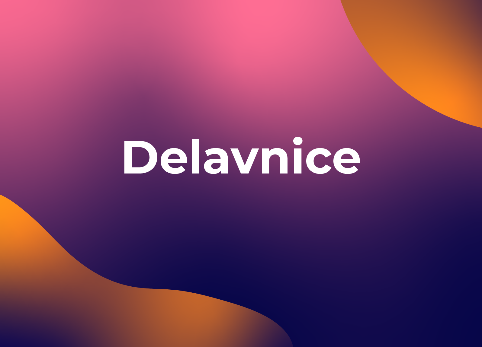 Delavnice 2024